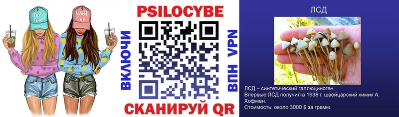 Купить где Ершов Псилоцибиновые грибы Psilocybe